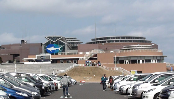 大洗水族館