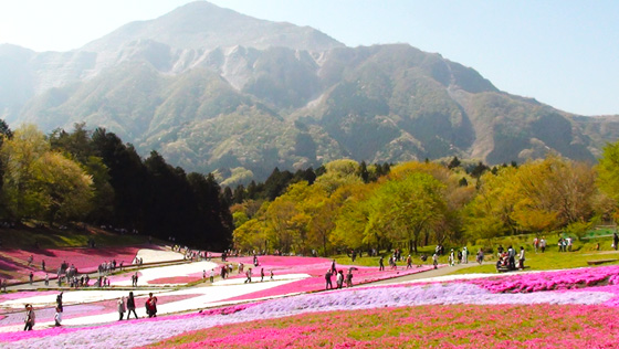 羊山公園