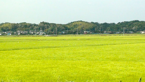 田園風景