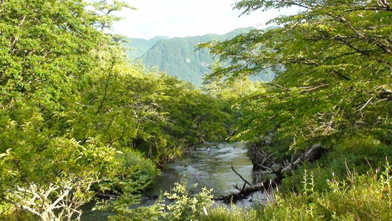 日光の山と湯川