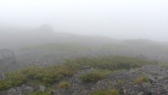 霧の山