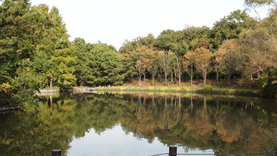 公園