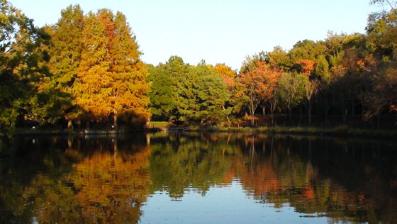 秋色の公園