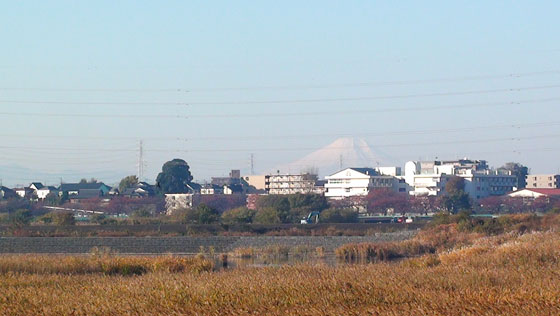 富士山