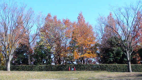 公園