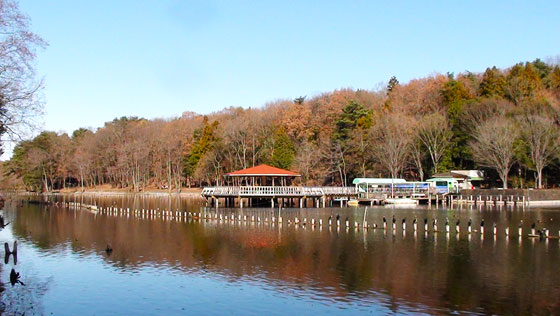 I公園の池