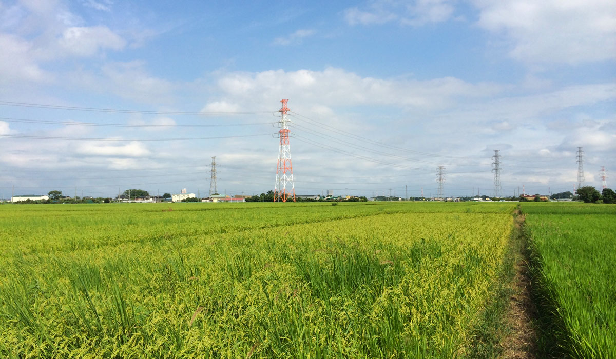 田園