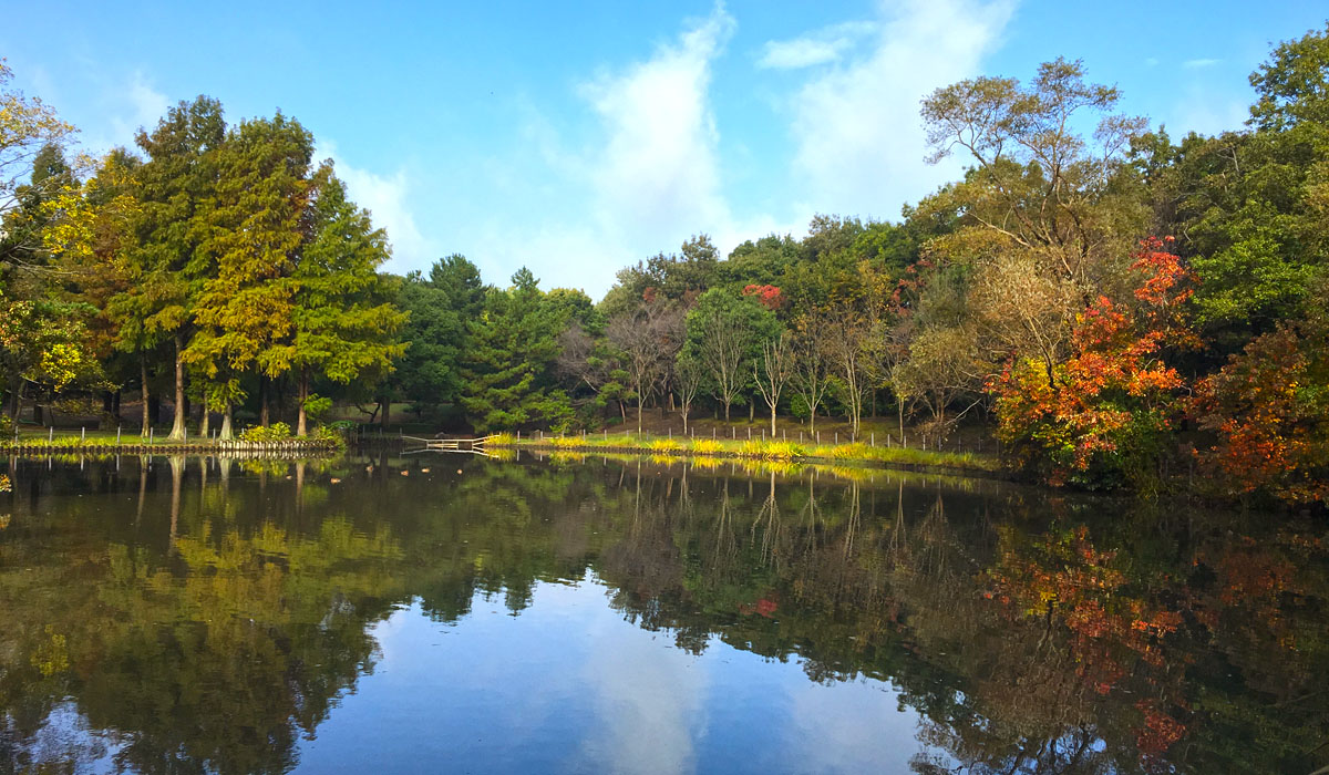 早朝の公園