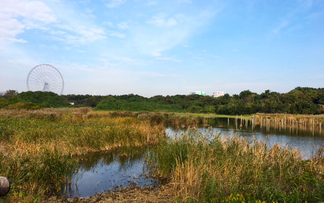 臨海公園