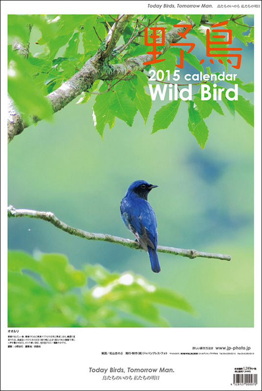 2015年 野鳥カレンダー