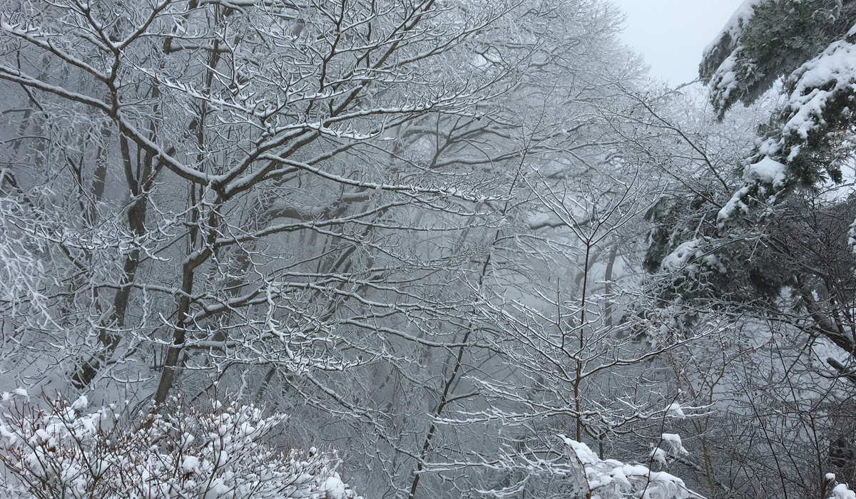 雪