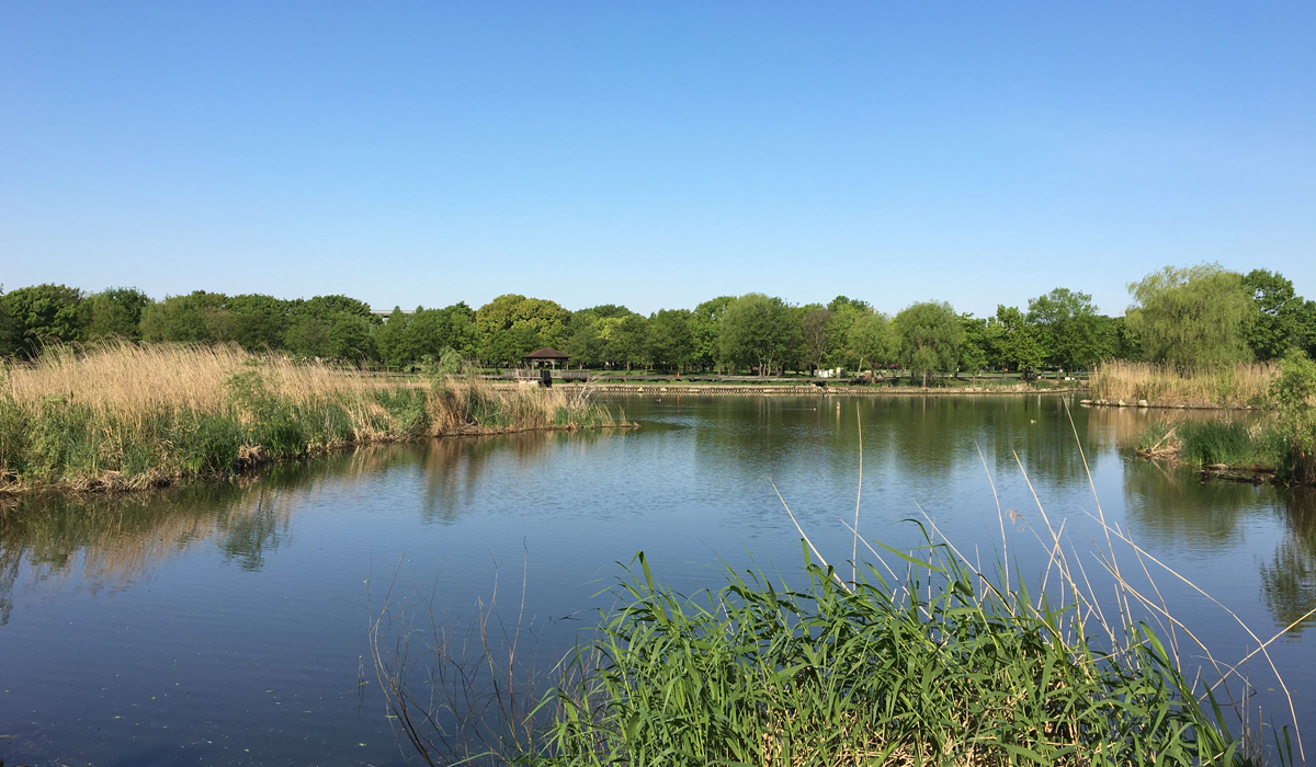 晴天の公園