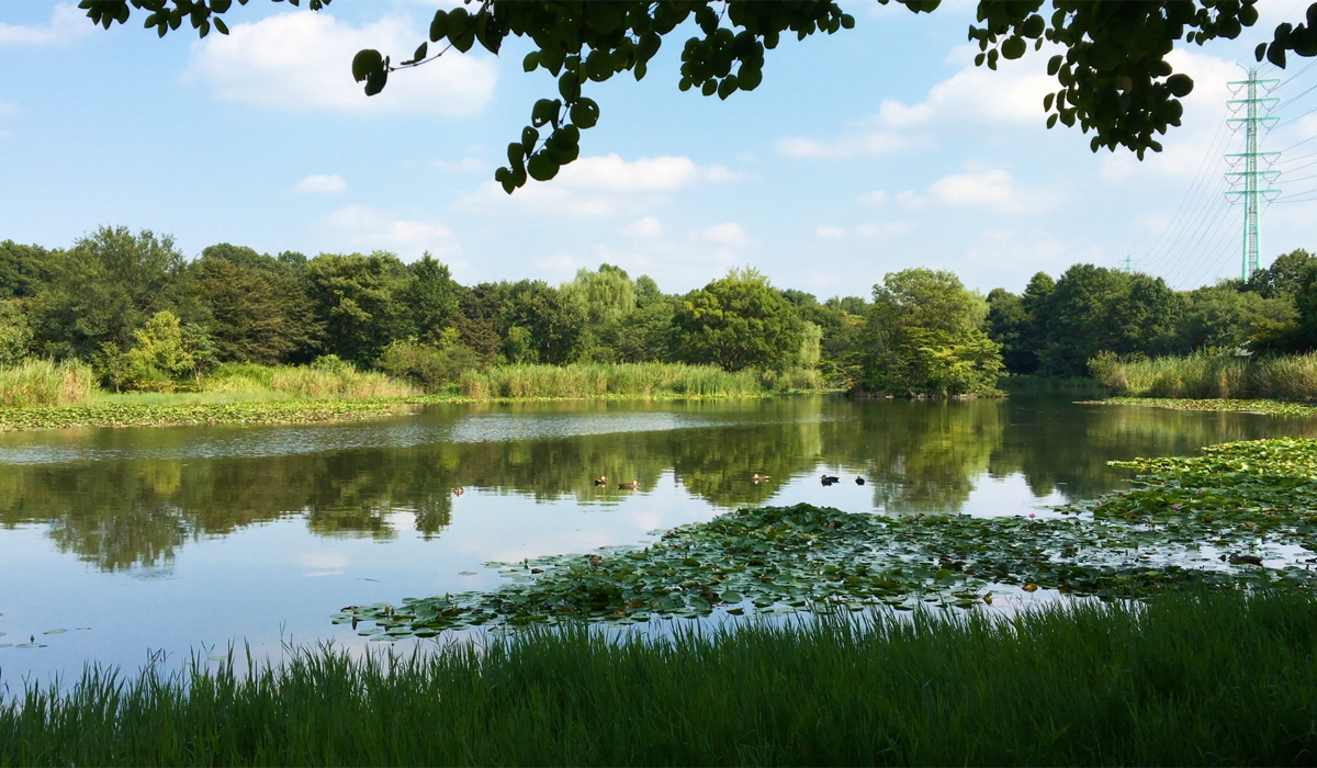 自然公園