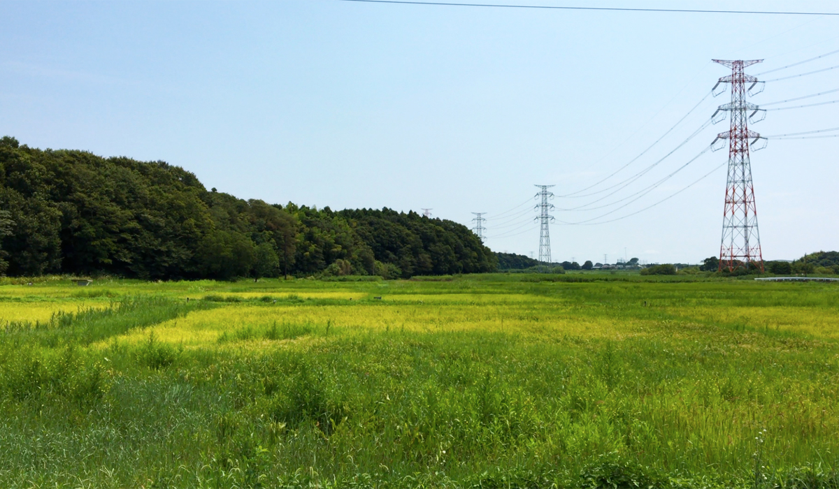 田園