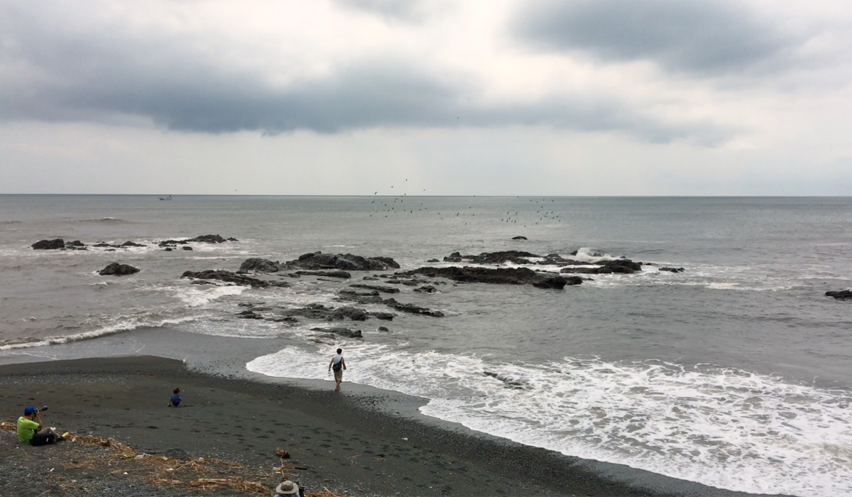 照ヶ崎海岸