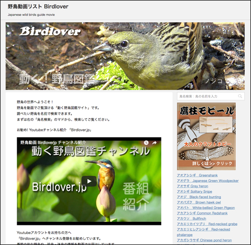 野鳥動画リスト Birdlover