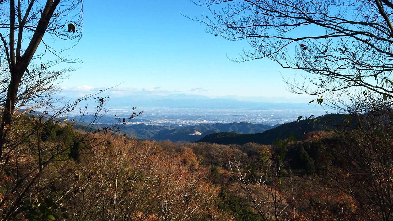 山からの風景