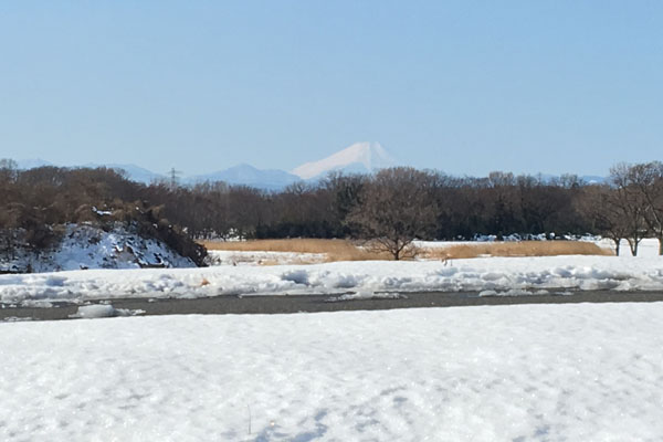 朝の富士山