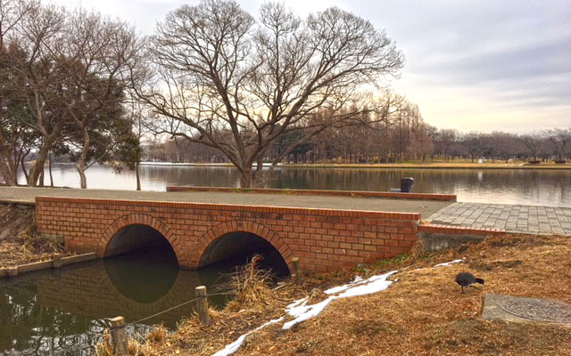 公園の橋