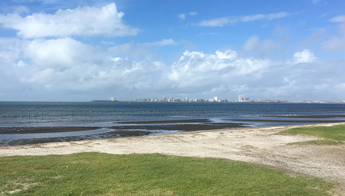 三番瀬海浜公園