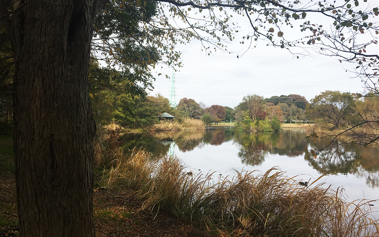 “見沼自然公園の池”