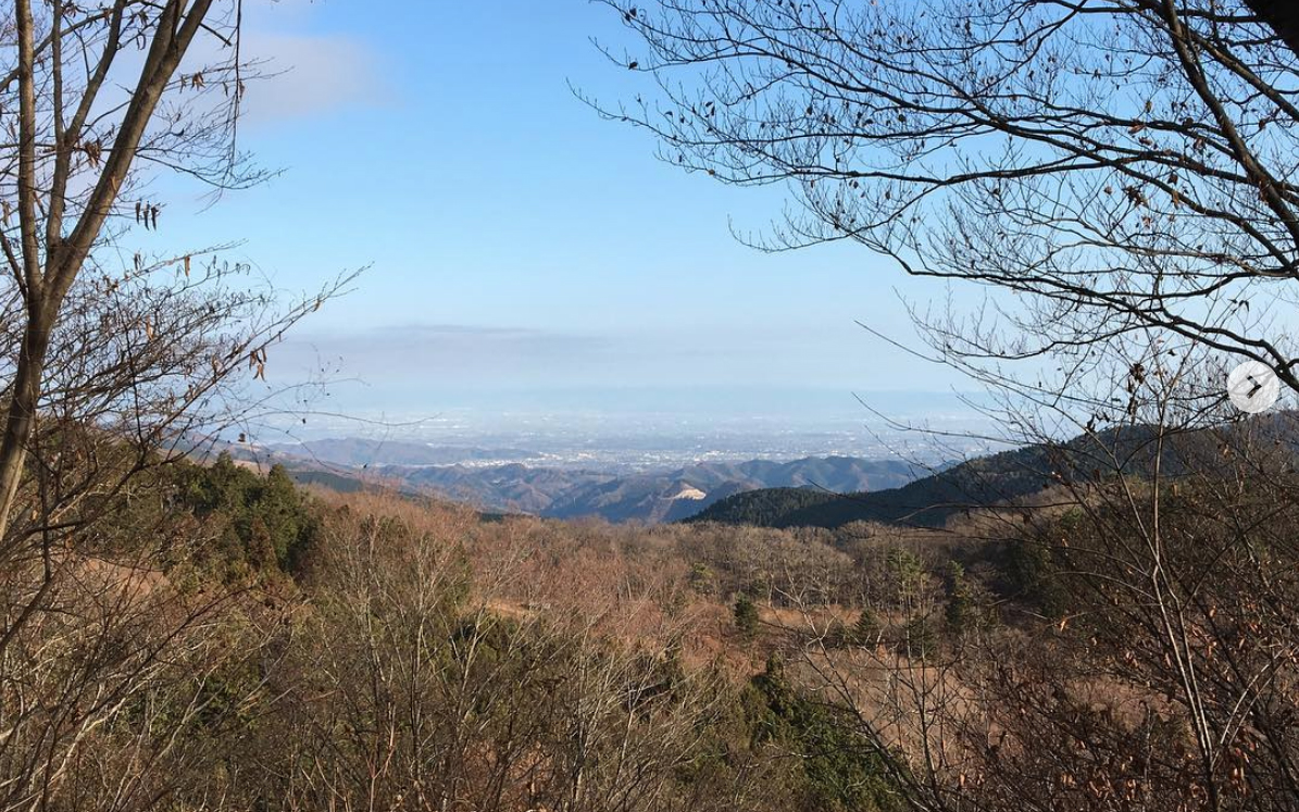 “埼玉県民の森”