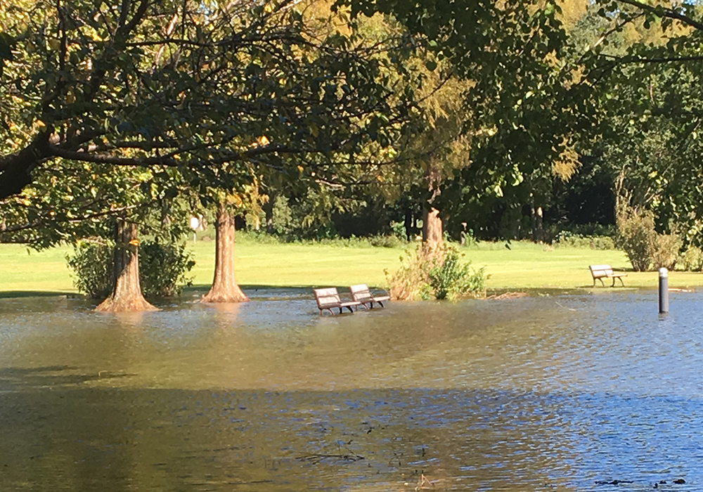 “見沼自然公園・洪水”