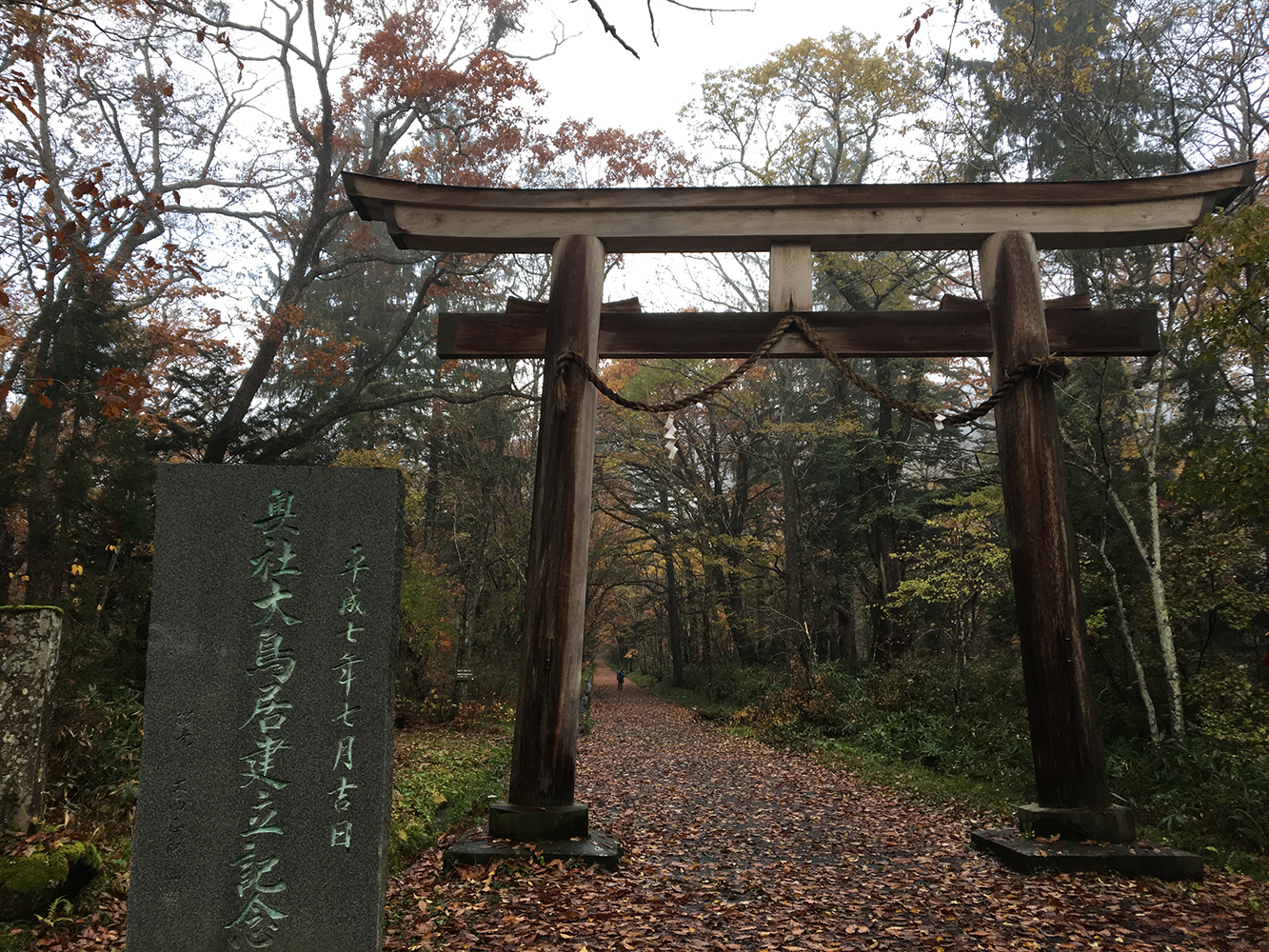 “戸隠神社・参道の鳥居”