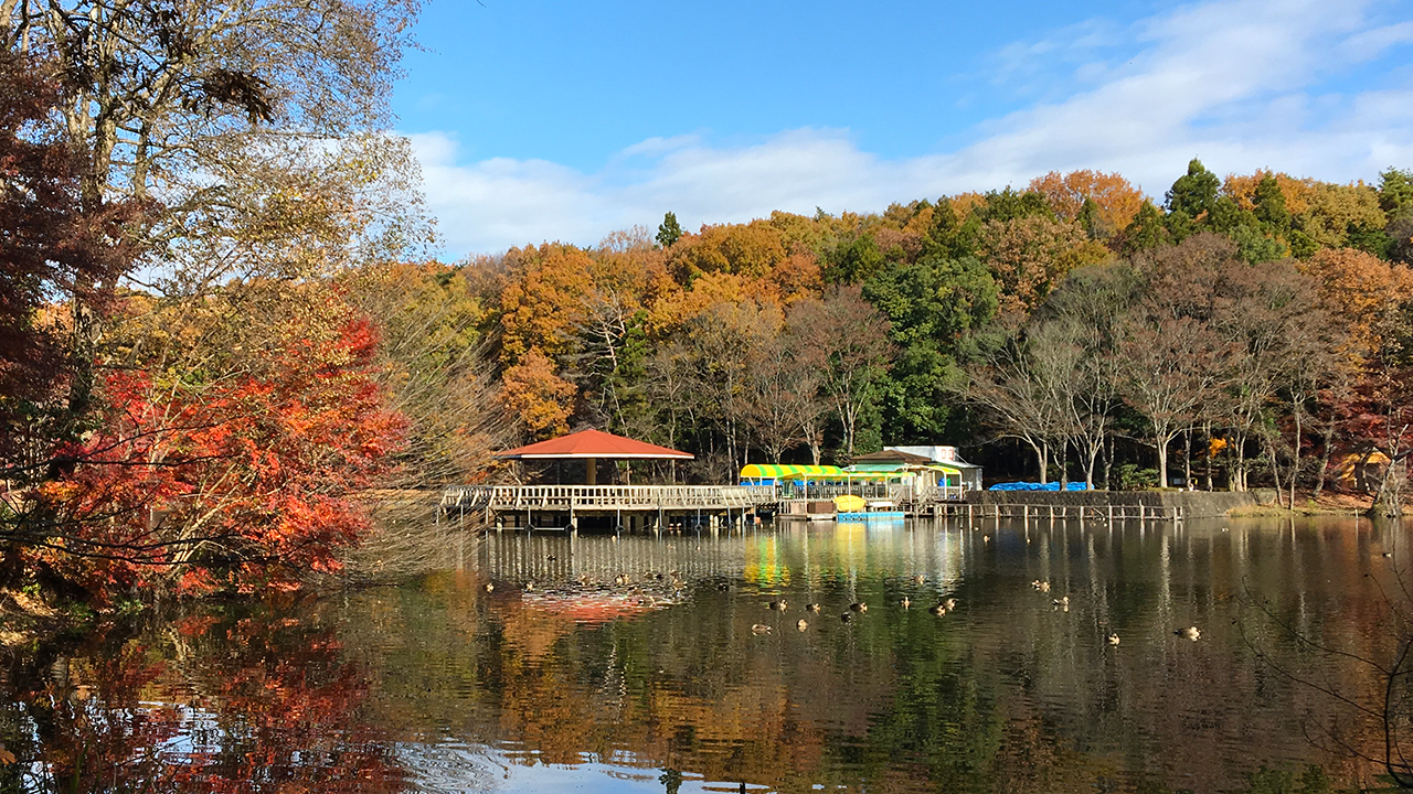 “井頭公園の池”