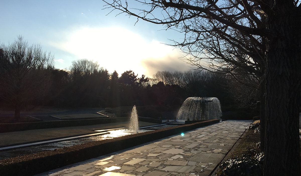 “夕方の昭和記念公園”