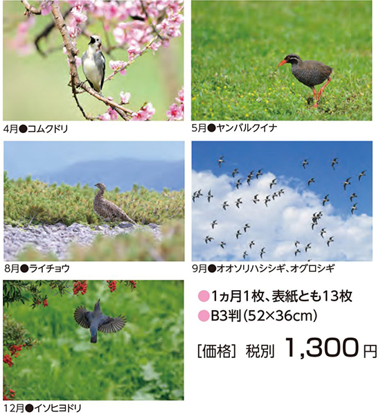 “2021年野鳥かレンダー”