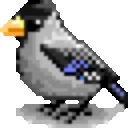 イカル