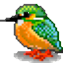 カワセミ
