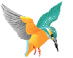 野鳥観察動画フィールドノート